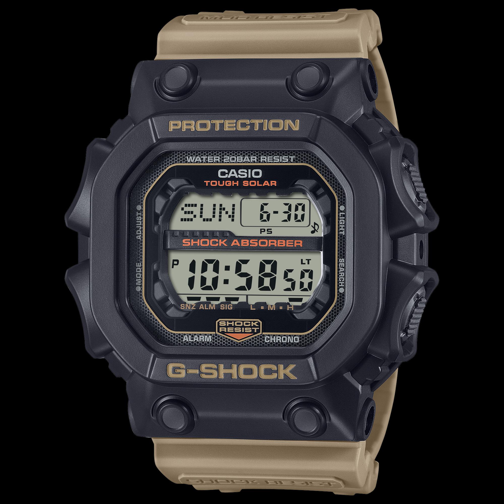 Casio two tone online